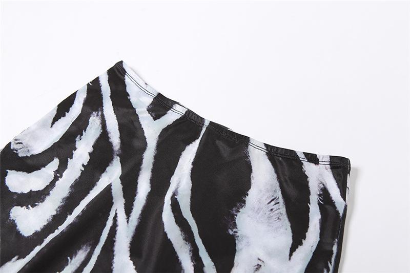 Long sleeve v neck zebra print mesh crop maxi skirt set
