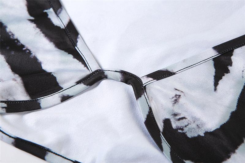 Long sleeve v neck zebra print mesh crop maxi skirt set