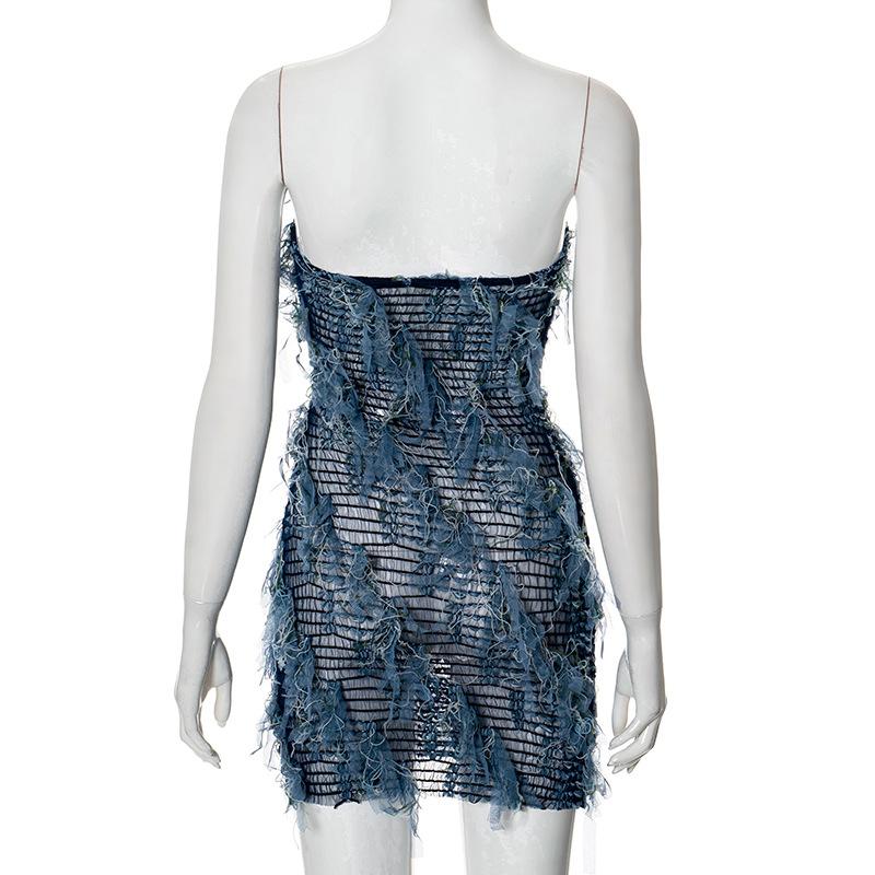 Sheer mesh textured stitch tube mini dress