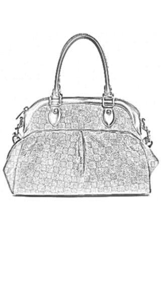BaginBag® | Handbag Organizer For Louis Vuitton louis Trevi PM Bags | LV Purse Insert  | purse insert organizer |  LV Organizer Purse |  LV Tote Bag  Organizer | Bag Organizer | Tote Insert  bag | travel bag organizer | LV Purse Organization